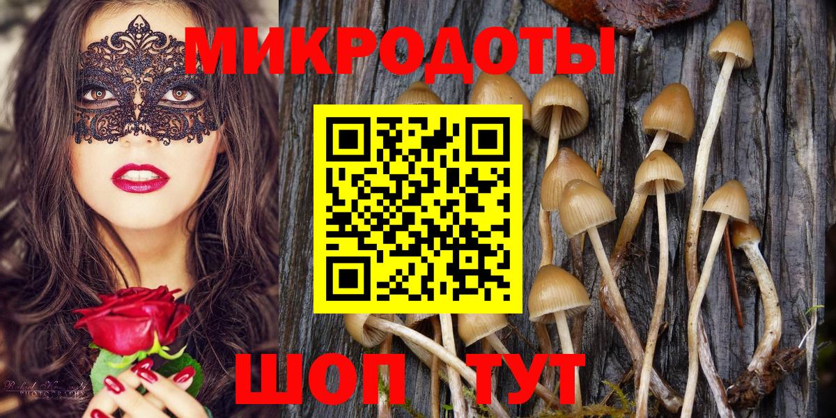 Псилоцибиновые грибы Magic Shrooms  Галлюциногенные грибы мицелий  Серов  Вход с VPN 