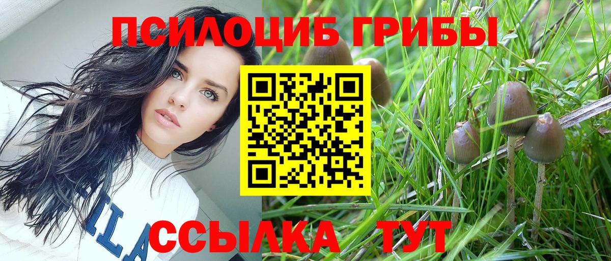 Псилоцибиновые грибы мухоморы Серов
